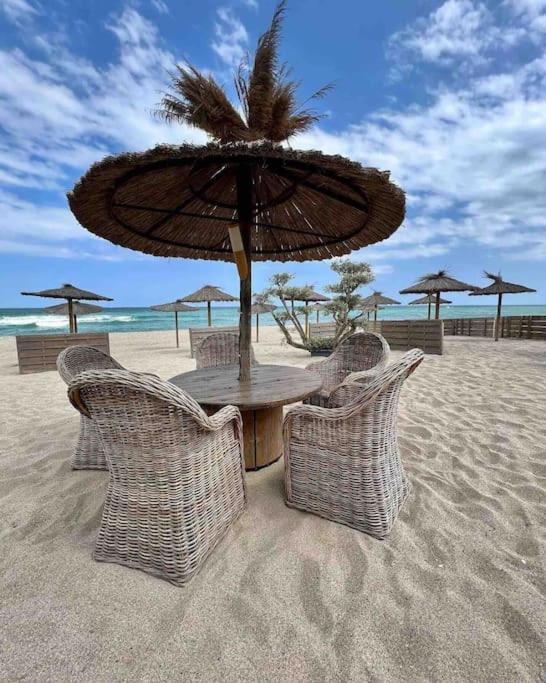 Les Voiles Blanches T2 Luxe A 100M De La Plage Leucate Dış mekan fotoğraf