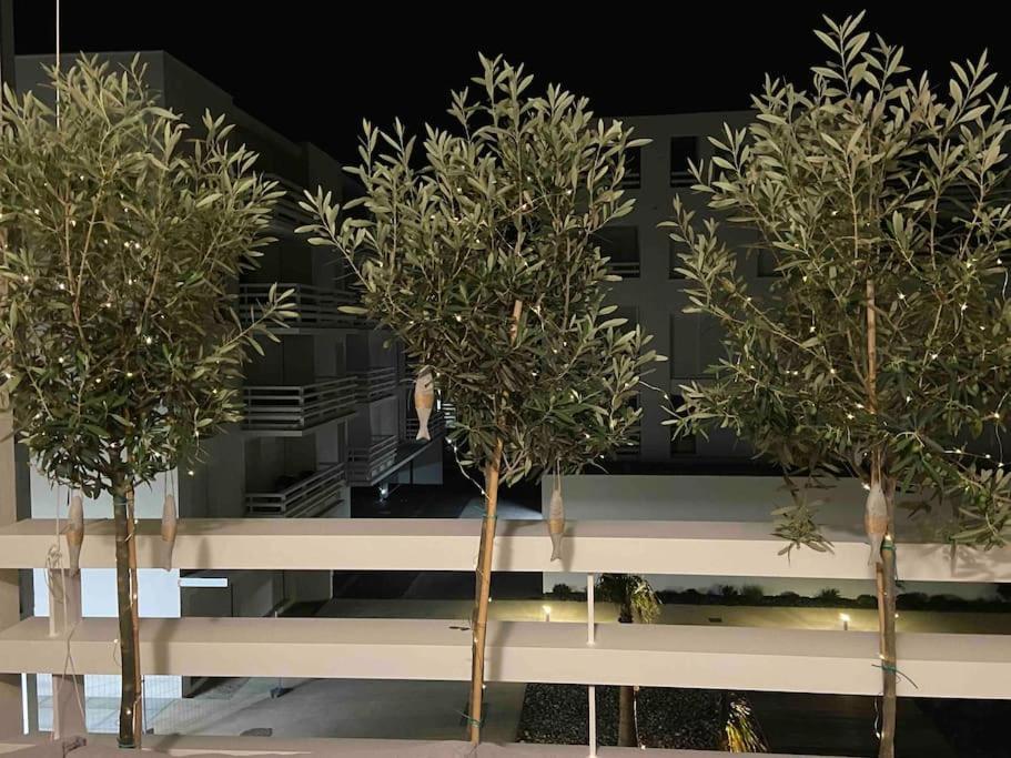 Les Voiles Blanches T2 Luxe A 100M De La Plage Leucate Dış mekan fotoğraf